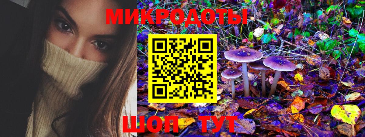 Псилоцибиновые грибы Cubensis Зима