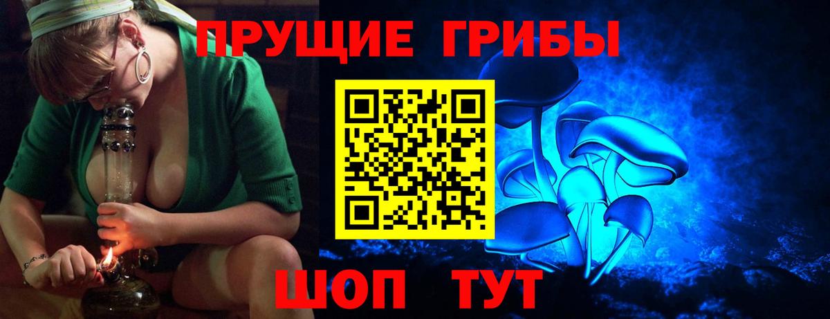 Зима  Галлюциногенные грибы мицелий  Галлюциногенные грибы Psilocybine cubensis  Вход с VPN 